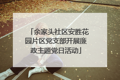 余家头社区安胜花园片区党支部开展廉政主题党日活动