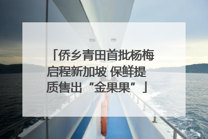 侨乡青田首批杨梅启程新加坡 保鲜提质售出“金果果”