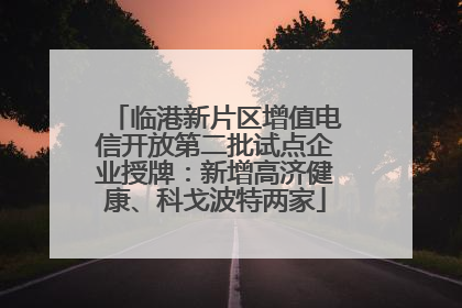 临港新片区增值电信开放第二批试点企业授牌：新增高济健康、科戈波特两家