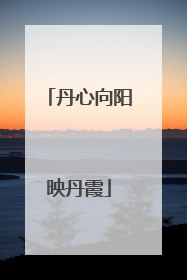 丹心向阳映丹霞