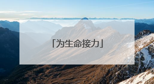 为生命接力