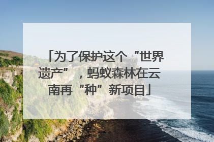 为了保护这个“世界遗产”，蚂蚁森林在云南再“种”新项目