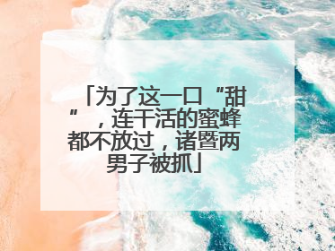 为了这一口“甜”，连干活的蜜蜂都不放过，诸暨两男子被抓