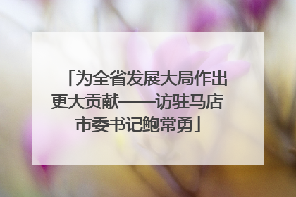 为全省发展大局作出更大贡献——访驻马店市委书记鲍常勇