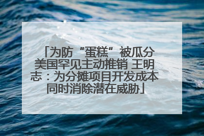 为防“蛋糕”被瓜分 美国罕见主动推销 王明志：为分摊项目开发成本同时消除潜在威胁