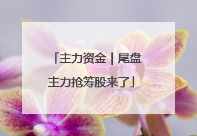 主力资金｜尾盘主力抢筹股来了