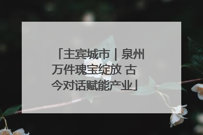 主宾城市｜泉州万件瑰宝绽放 古今对话赋能产业