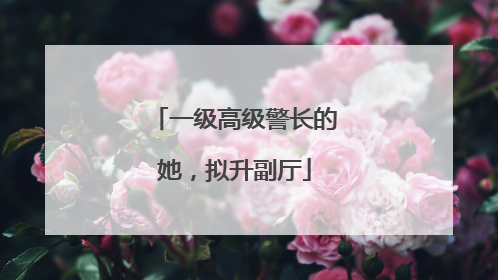一级高级警长的她，拟升副厅
