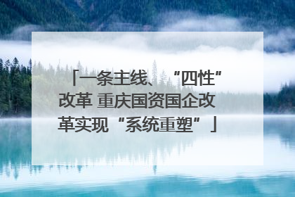 一条主线、“四性”改革 重庆国资国企改革实现“系统重塑”
