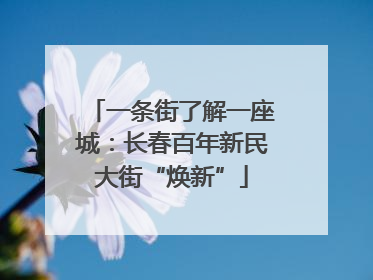 一条街了解一座城：长春百年新民大街“焕新”