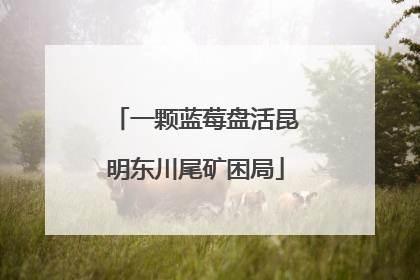一颗蓝莓盘活昆明东川尾矿困局