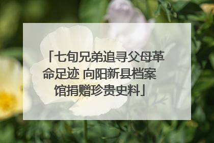 七旬兄弟追寻父母革命足迹 向阳新县档案馆捐赠珍贵史料