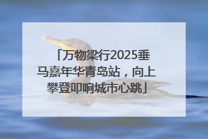万物梁行2025垂马嘉年华青岛站，向上攀登叩响城市心跳