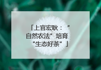 上官宏耿：“自然农法”培育“生态好茶”