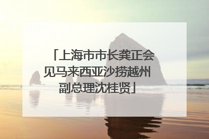 上海市市长龚正会见马来西亚沙捞越州副总理沈桂贤