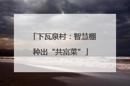 下瓦泉村：智慧棚种出“共富菜”