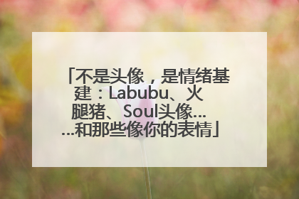 不是头像，是情绪基建：Labubu、火腿猪、Soul头像……和那些像你的表情