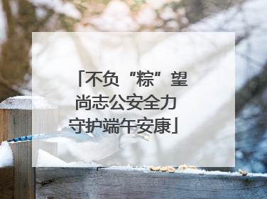 不负“粽”望 尚志公安全力守护端午安康