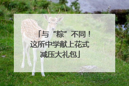 与“粽”不同！这所中学献上花式减压大礼包