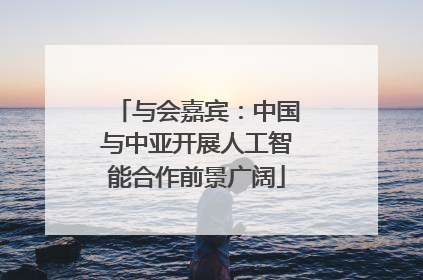 与会嘉宾：中国与中亚开展人工智能合作前景广阔