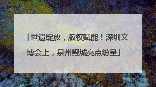 世遗绽放，版权赋能！深圳文博会上，泉州鲤城亮点纷呈