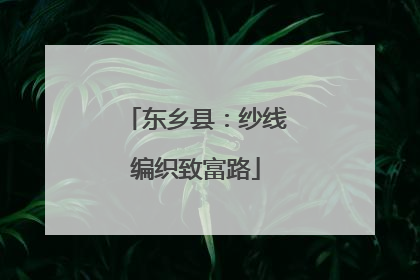 东乡县：纱线编织致富路