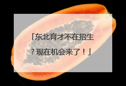 东北育才不在招生？现在机会来了！