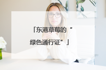 东港草莓的“绿色通行证”