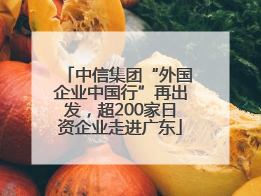 中信集团“外国企业中国行”再出发，超200家日资企业走进广东