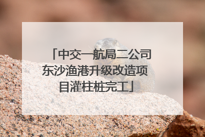 中交一航局二公司东沙渔港升级改造项目灌柱桩完工