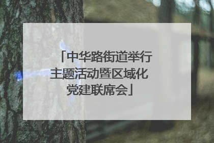 中华路街道举行主题活动暨区域化党建联席会