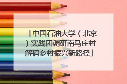 中国石油大学（北京）实践团调研南马庄村解码乡村振兴新路径
