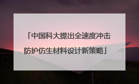 中国科大提出全速度冲击防护仿生材料设计新策略