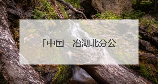 中国一冶湖北分公司信阳步行街项目开展青安岗系列活动