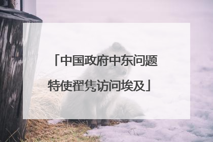 中国政府中东问题特使翟隽访问埃及