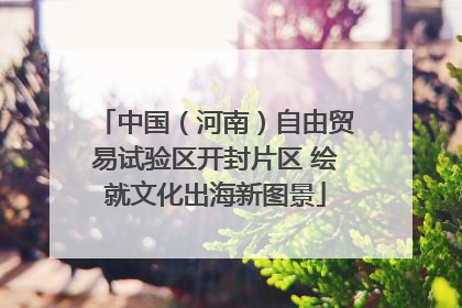 中国（河南）自由贸易试验区开封片区 绘就文化出海新图景