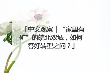 中安观察｜“家里有矿”的皖北双城，如何答好转型之问？