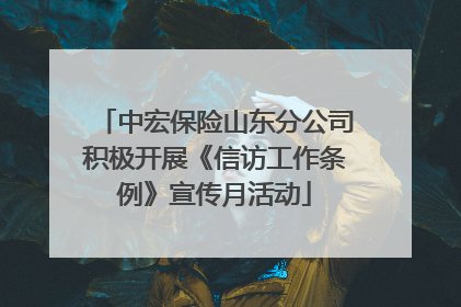 中宏保险山东分公司积极开展《信访工作条例》宣传月活动