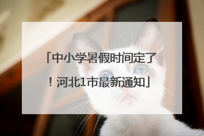 中小学暑假时间定了！河北1市最新通知