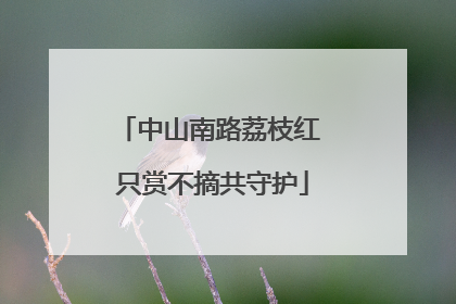 中山南路荔枝红 只赏不摘共守护