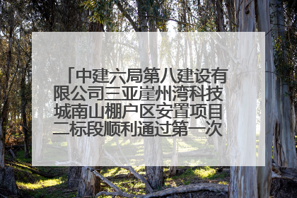 中建六局第八建设有限公司三亚崖州湾科技城南山棚户区安置项目二标段顺利通过第一次主体结构验收