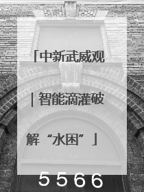 中新武威观｜智能滴灌破解“水困”