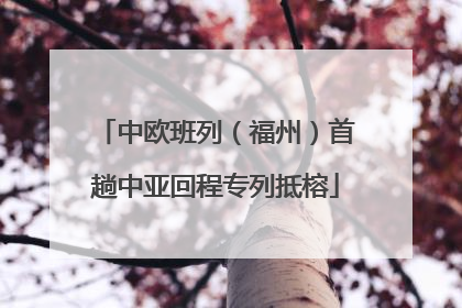中欧班列（福州）首趟中亚回程专列抵榕