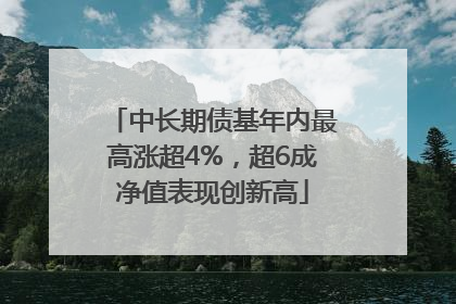 中长期债基年内最高涨超4%，超6成净值表现创新高