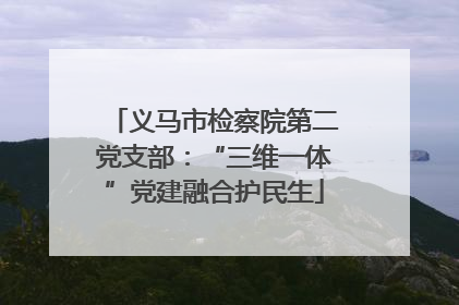 义马市检察院第二党支部：“三维一体”党建融合护民生