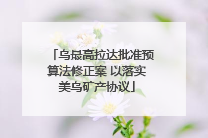 乌最高拉达批准预算法修正案 以落实美乌矿产协议