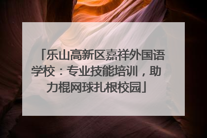 乐山高新区嘉祥外国语学校：专业技能培训，助力棍网球扎根校园
