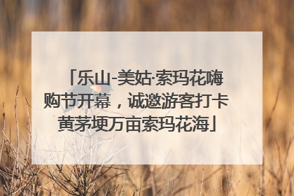 乐山-美姑·索玛花嗨购节开幕，诚邀游客打卡黄茅埂万亩索玛花海