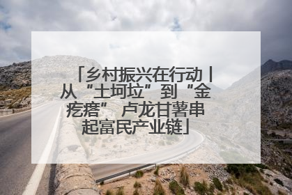 乡村振兴在行动丨从“土坷垃”到“金疙瘩” 卢龙甘薯串起富民产业链