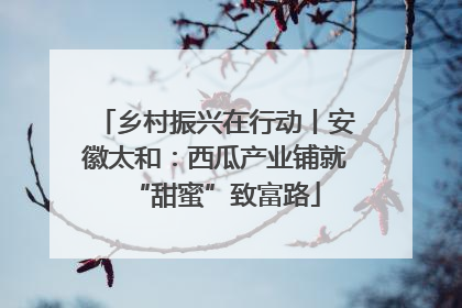 乡村振兴在行动丨安徽太和：西瓜产业铺就“甜蜜”致富路